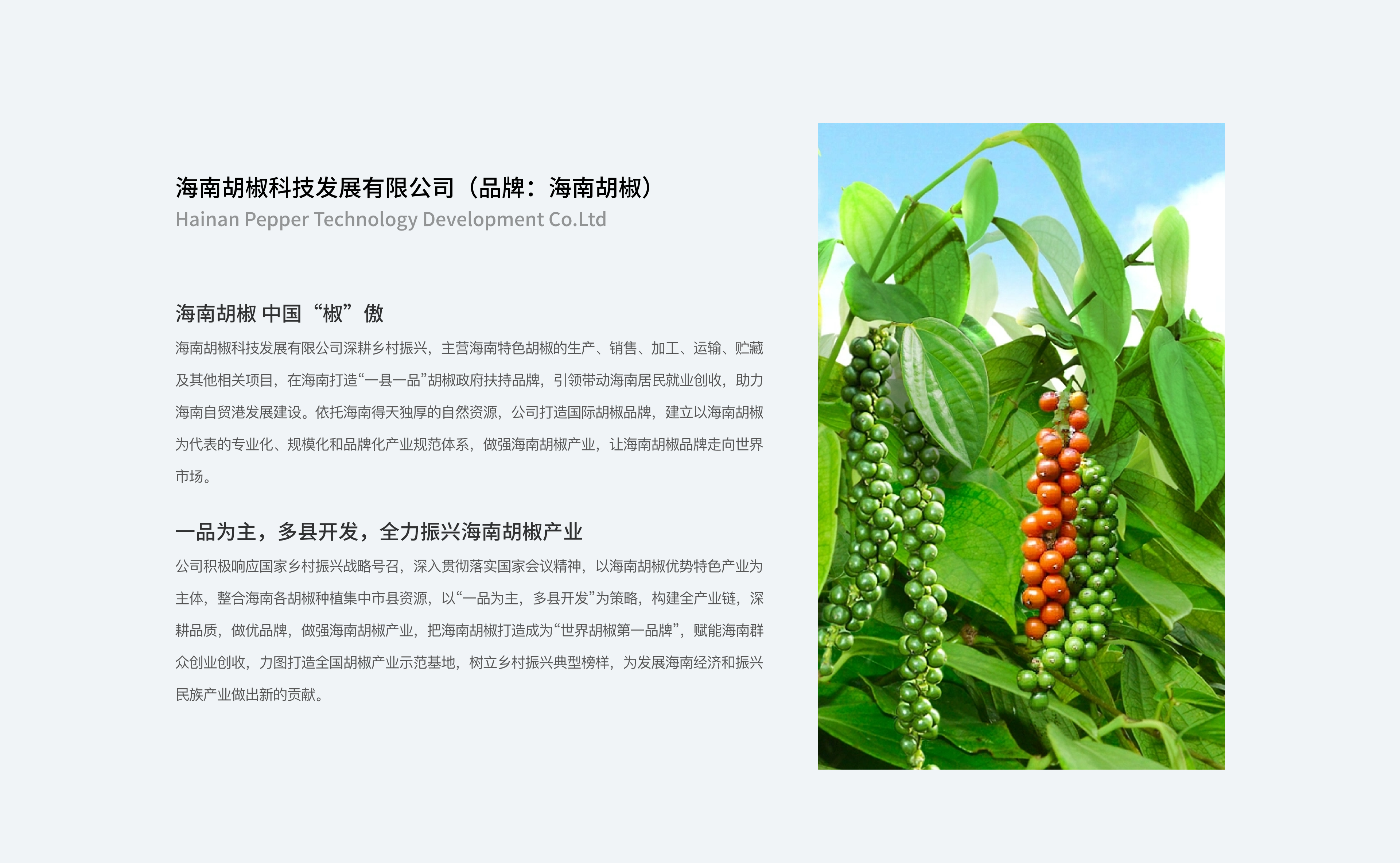海南胡椒科技发展有限公司