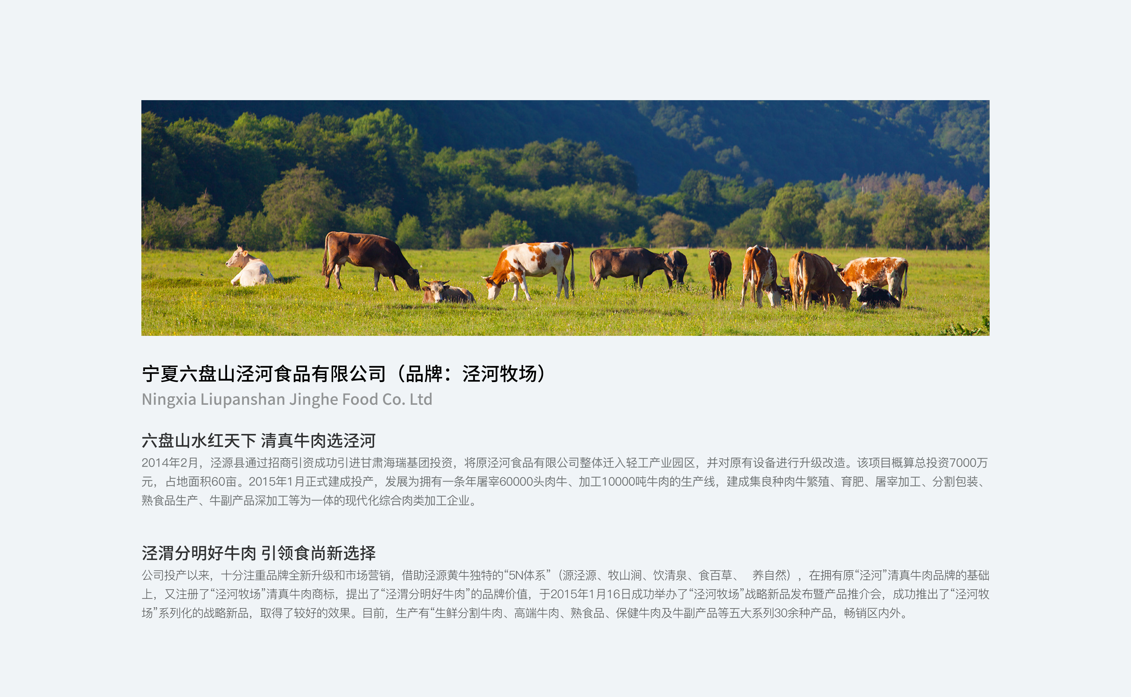 宁夏六盘山泾河食品有限公司